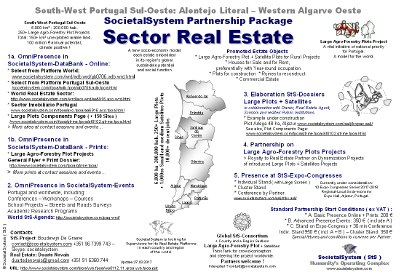 sectorrealestate.flyera.png