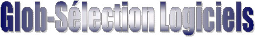 globlogiciels%20copy.jpg